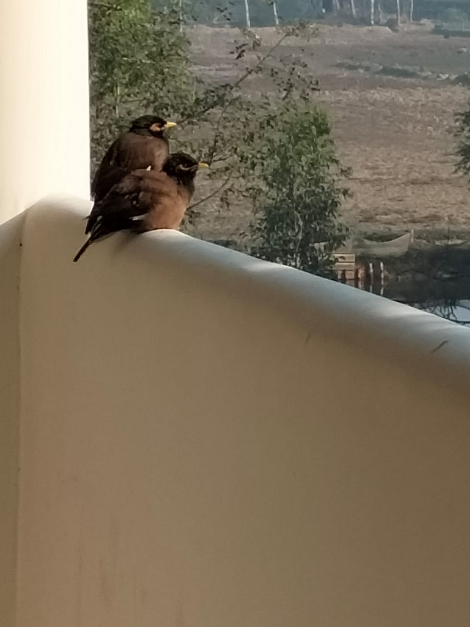 Guest Experience